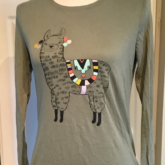 Cat & Jack Other - Cat and Jack Llama T-Shirt Size XL(14-16) Kids